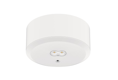 DOTLUX LED-Sicherheitsleuchte     3679-1 