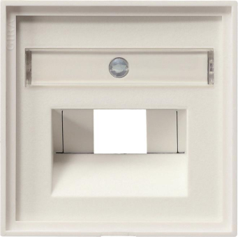 GIRA 028427 Abdeckung+ BSF UAE/IAE+ 