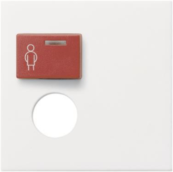 GIRA 022727 Abdeckung Ackermann 73073E/ 