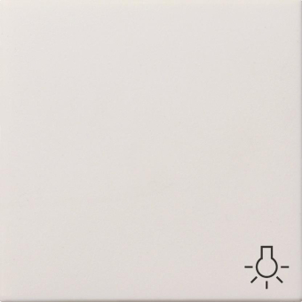 GIRA 0285112 Wippe Symbol Licht 