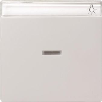 GIRA 067027 Wippe Kontrollfenster+BSF 