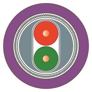 Siemens 6XV18300EH10 PROFIBUS FC Std. 