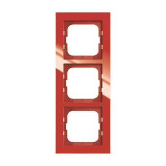 BJ Axcent Rahmen                1723-287 