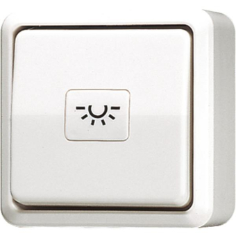 JG Taster ohne Symbol      634 A WW 