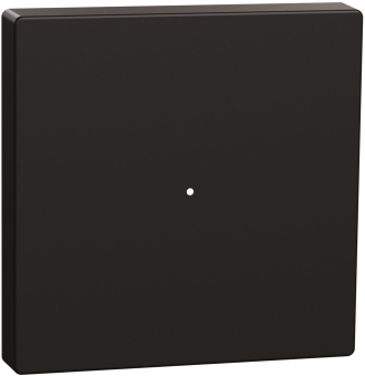 Merten Wippe f.Taster-Modul MEG5210-0403 