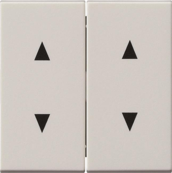 GIRA 115027 Wippe 2fach Pfeile System 55 