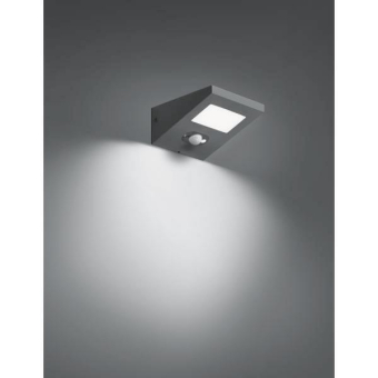 Brumberg                        65291103 