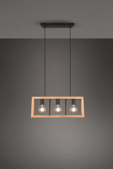 Trio Pendelleuchte AGRA 3x E27 313800332 