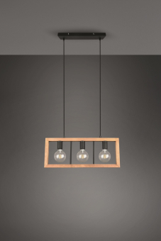 Trio Pendelleuchte AGRA 3x E27 313800332 