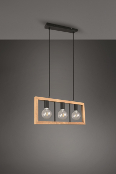 Trio Pendelleuchte AGRA 3x E27 313800332 