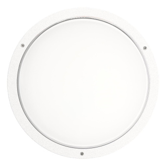 PII LED Wand u.Deckenleuchte      304259 