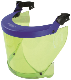 DEHN                        APS T CL2 SC 