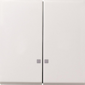 GIRA 0631112 Wippe 2fach Kontrollfenster 