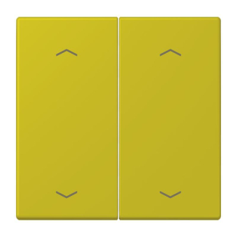 Jung Wippe m.Pfeilsymbolen     LC102P249 