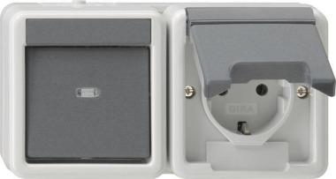 GIRA 017730 Kombination SCHUKO Wechsel 