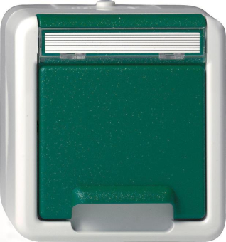 GIRA 044530 SCHUKO KD GN +BSF WG AP Grün 