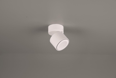 TRIO Ein-/Aufbauspot TAURUS ws 652910131 