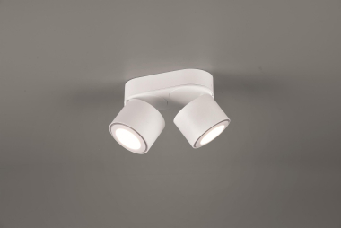 TRIO Ein-/Aufbauspot TAURUS ws 652910231 