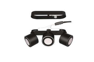 TRIO Ein-/Aufbauspot TAURUS sw 652910332 