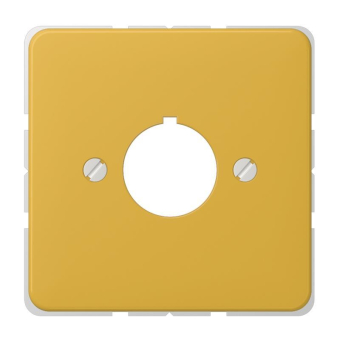 JG Zentralplatte                   564GE 