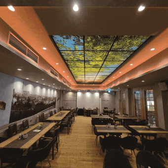 DOTLUX Motivplatte SKYLIGHT M01-01010620 