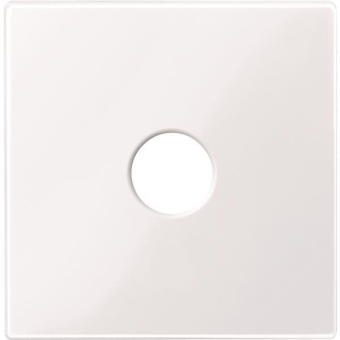 Merten Zentralplatte f.Bus-       451825 