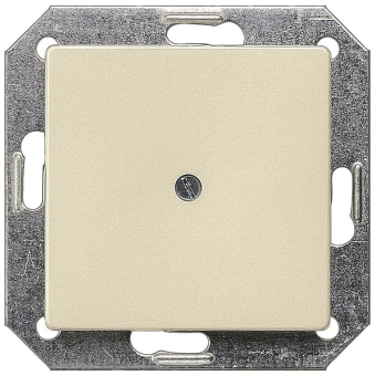 Siemens 5TG2588 DELTA i-system Blindpl. 