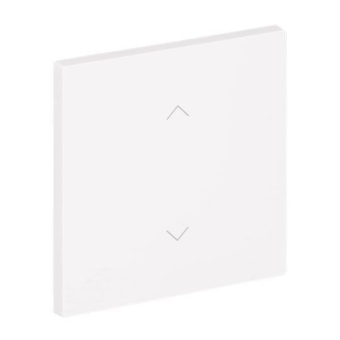 BJ Wippe 1-fach m.Symbol     6735-11-44G 