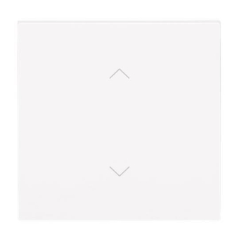 BJ Wippe 1-fach m.Symbol     6735-11-44G 