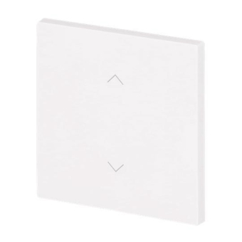 BJ Wippe 1-fach m.Symbol     6735-11-44G 