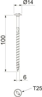 OBO HT 6x100 TD Tellerkopfschraube 