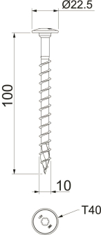 OBO HT 10x100 TD Tellerkopfschraube 