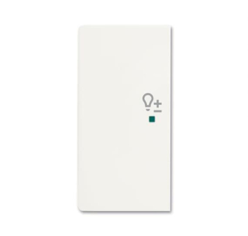 BJ Wippe/L 2f Dimmer matt    6234-21-884 