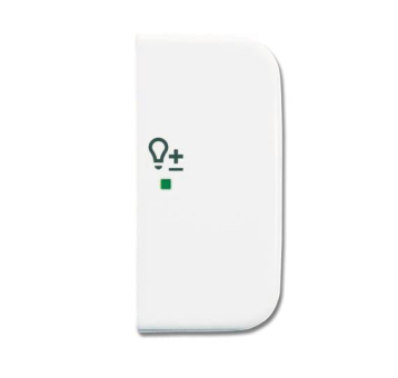 BJ Wippe 2fach Symbol Dimmer 6234-22-214 