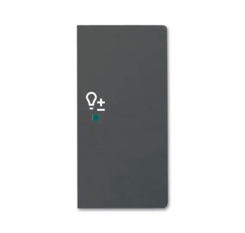 BJ Wippe/R 2f Dimmer schwarz 6234-22-885 