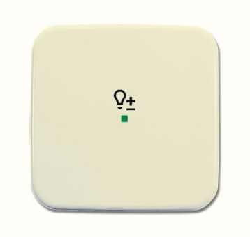 BJ Wippe 1-fach Symbol Licht 6234-10-212 