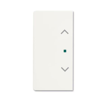 BJ Wippe 2f Jalousie matt    6232-20-884 