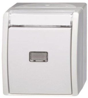 BJ APWG Wipptaster Schlie. 2621WN-54-201 