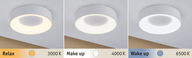 Paulmann WallCeiling HomeSpa Casca 78946 