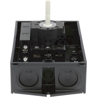 EATON P1-25/I2/SVB-SW/HI11        207295 