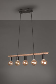 Trio Pendelleuchte EINAR, 5x   R30605032 
