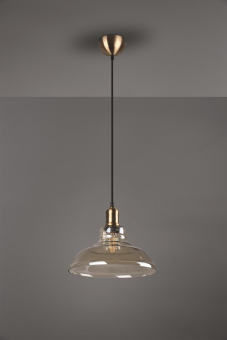 Trio Pendelleuchte ALDO,1x E27 R30731004 