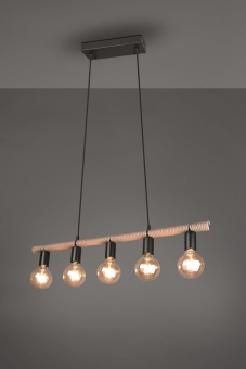Trio Pendelleuchte EINAR, 5x   R30605032 