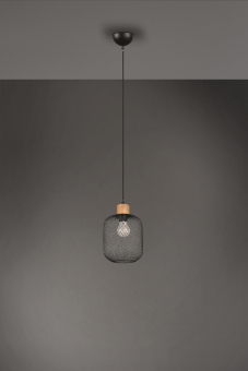 Trio Pendelleuchte CALIMERO,   R30561032 
