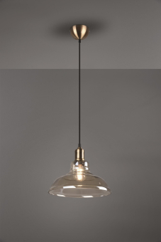 Trio Pendelleuchte ALDO,1x E27 R30731004 