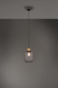 Trio Pendelleuchte CALIMERO,   R30561032 