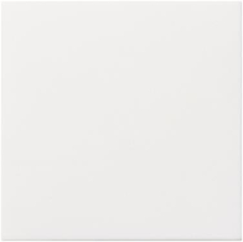 GIRA 022527 Abdeckung Ackermann 72642C/ 