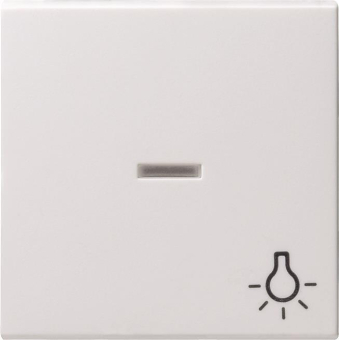 GIRA 067403 Wippe Kontrollfenster+Symbol 