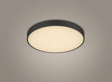 TRIO Deckenleuchte WACO 495mm  627415032 