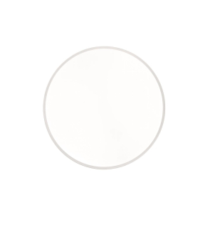 TRIO Deckenleuchte WACO 495mm  627415031 